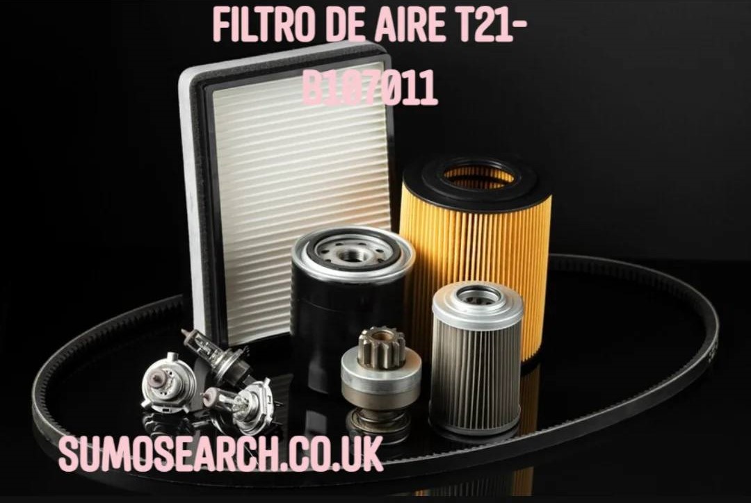 filtro-de-aire-t21-b107011