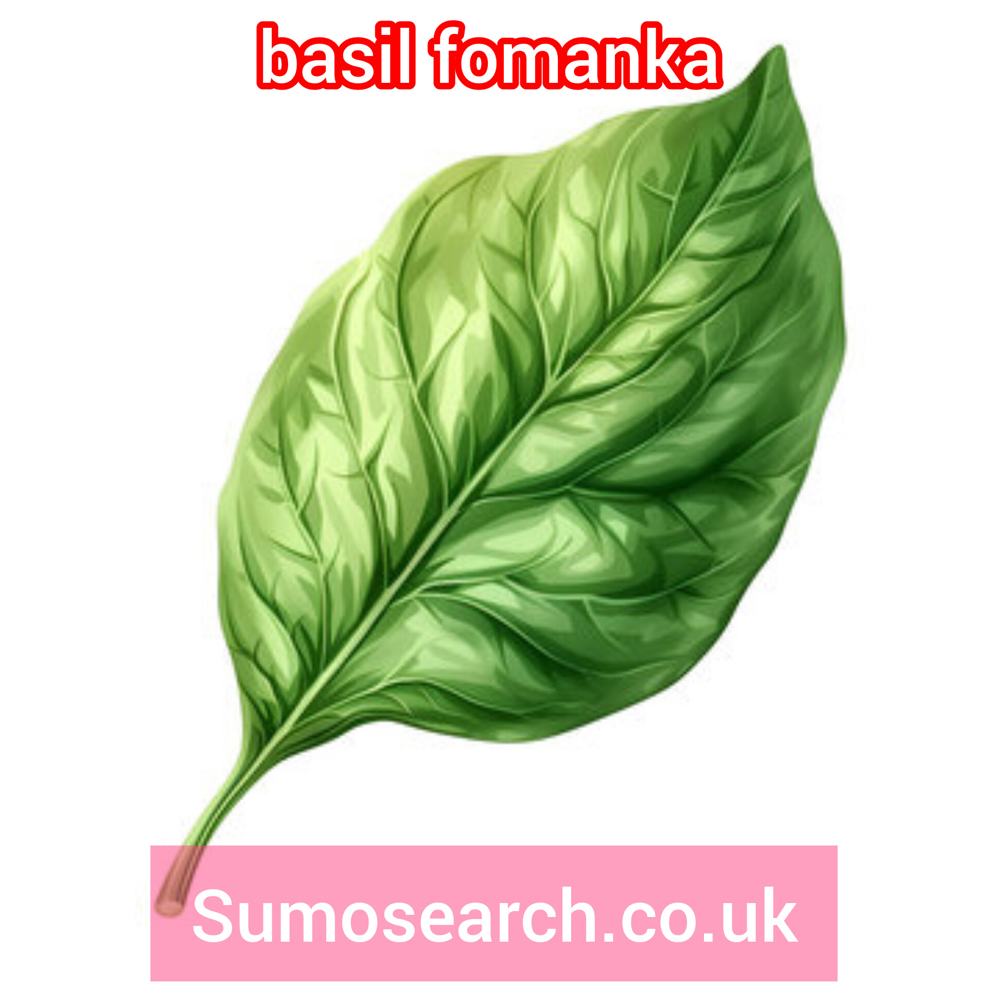 Basil Fomanka