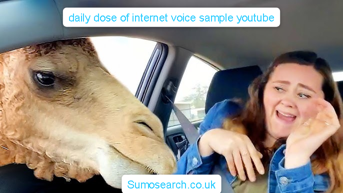 daily dose of internet voice sample youtube