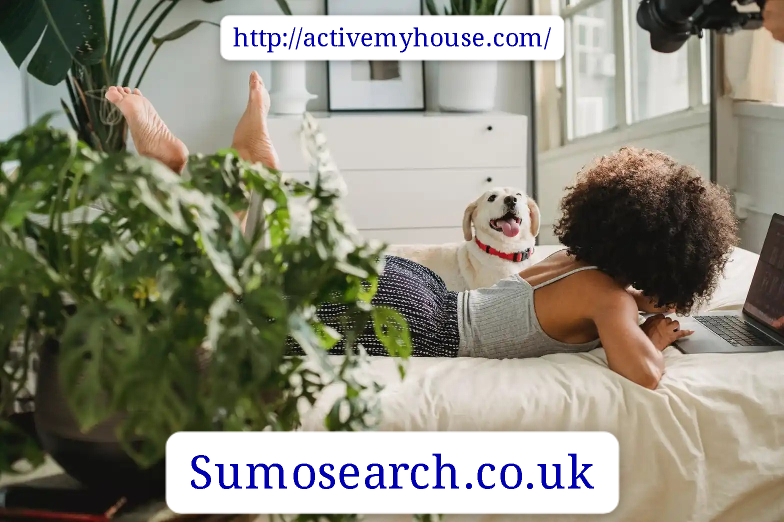 http://activemyhouse.com/