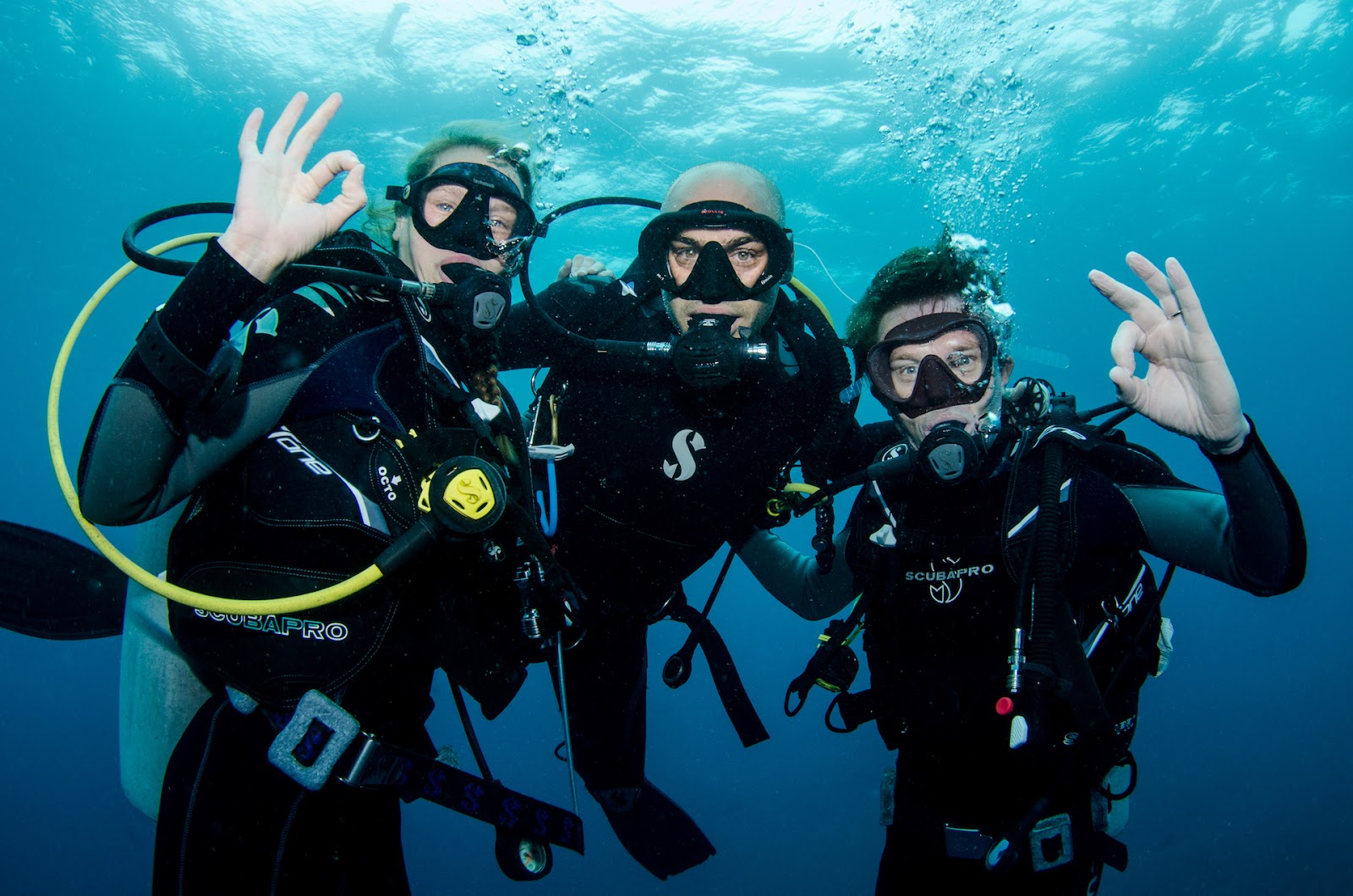 Diving in the Maldives