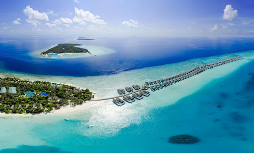 Diving in the Maldives